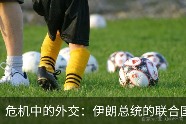 危机中的外交：伊朗总统的联合国之行和回家的不确定性
