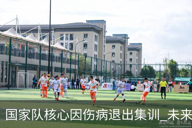 国家队核心因伤病退出集训 未来仍值得期待